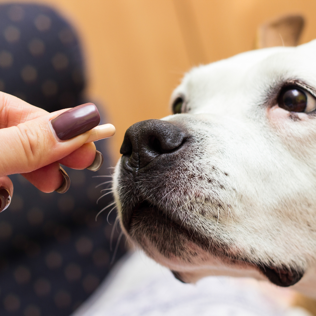 Vitamins & Pharmaceuticals